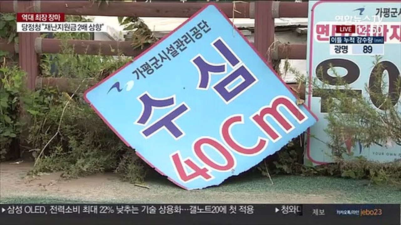 4년만에 잠긴 자라섬 진흙 투성…남이섬 복구완료