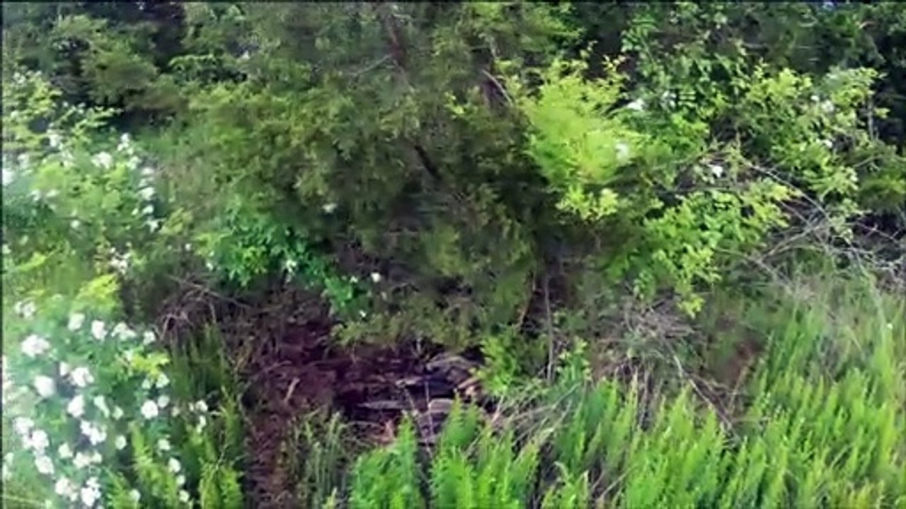 Hiding A Geocache