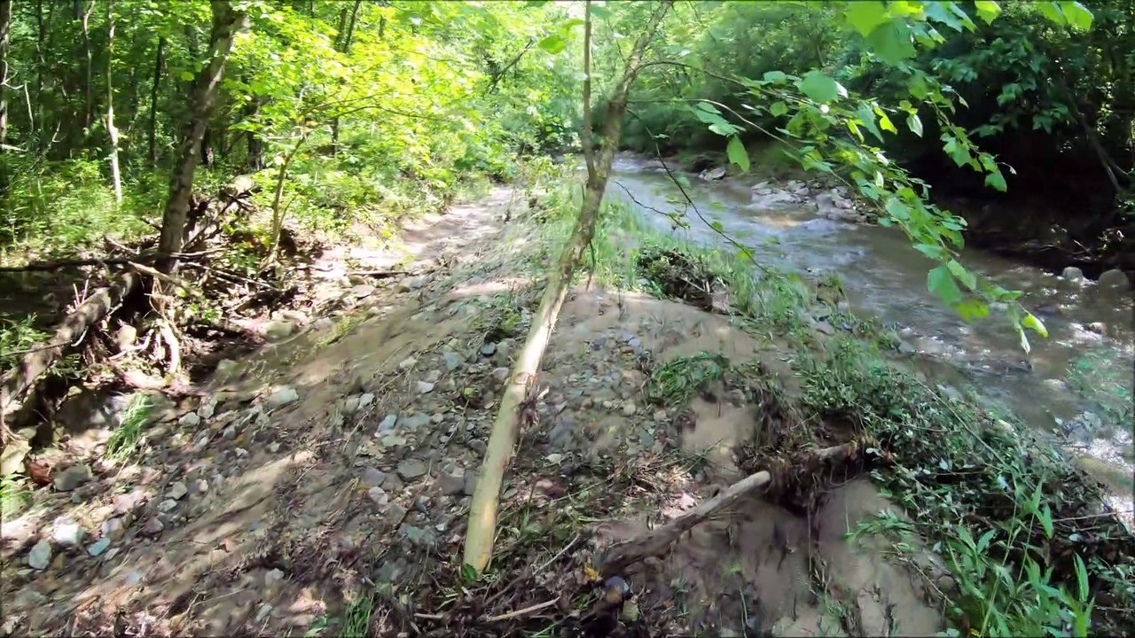 Had To Abort Camp (Sugar Creek)