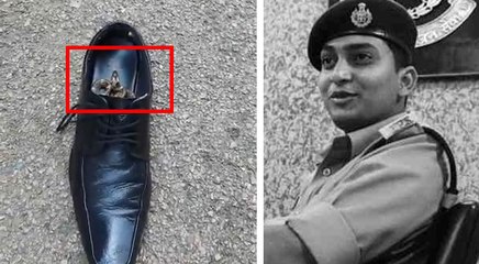 एसपी के जूते में घुस कर बैठा था सांप, ऑफिस जाने के लिए उठाया तो लगा फुफकारने