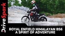 Royal Enfield Himalayan BS6 - A Spirit Of Adventure | Jobo Kuruvilla | Vivid Series