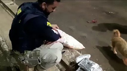 PRF apreende drogas em veículo que circulava por aplicativo de caronas