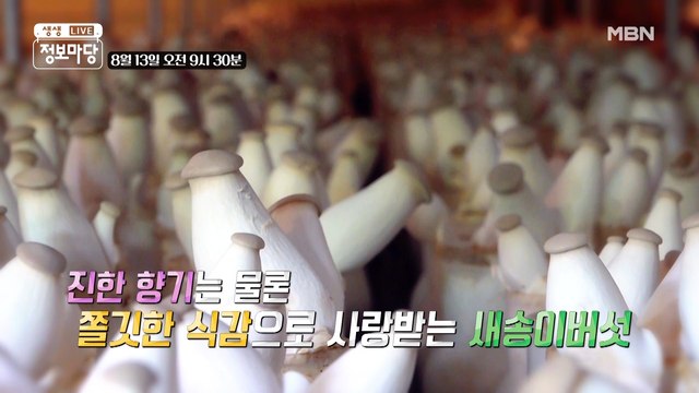 생생 정보마당 [696회] - 여유 있는 목요일