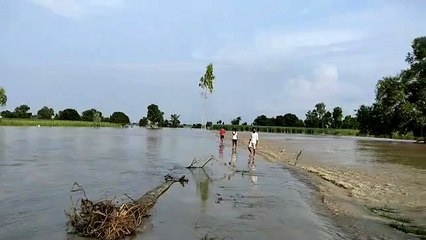 खतरे के निशान से 71 सेंटीमीटर ऊपर बह रही शारदा नदी