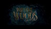 INTO THE WOODS (2015) Trailer VO - HD
