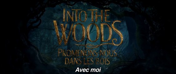 INTO THE WOODS - Promenons Nous dans les Bois (2015) Bande Annonce VOSTF - HD