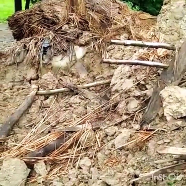 बारिश में ढहा कच्चा मकान, मलबे में दबकर भैंस की मौत,