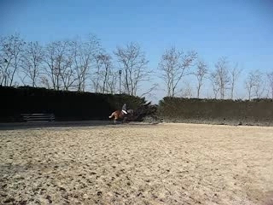 Octa oxer