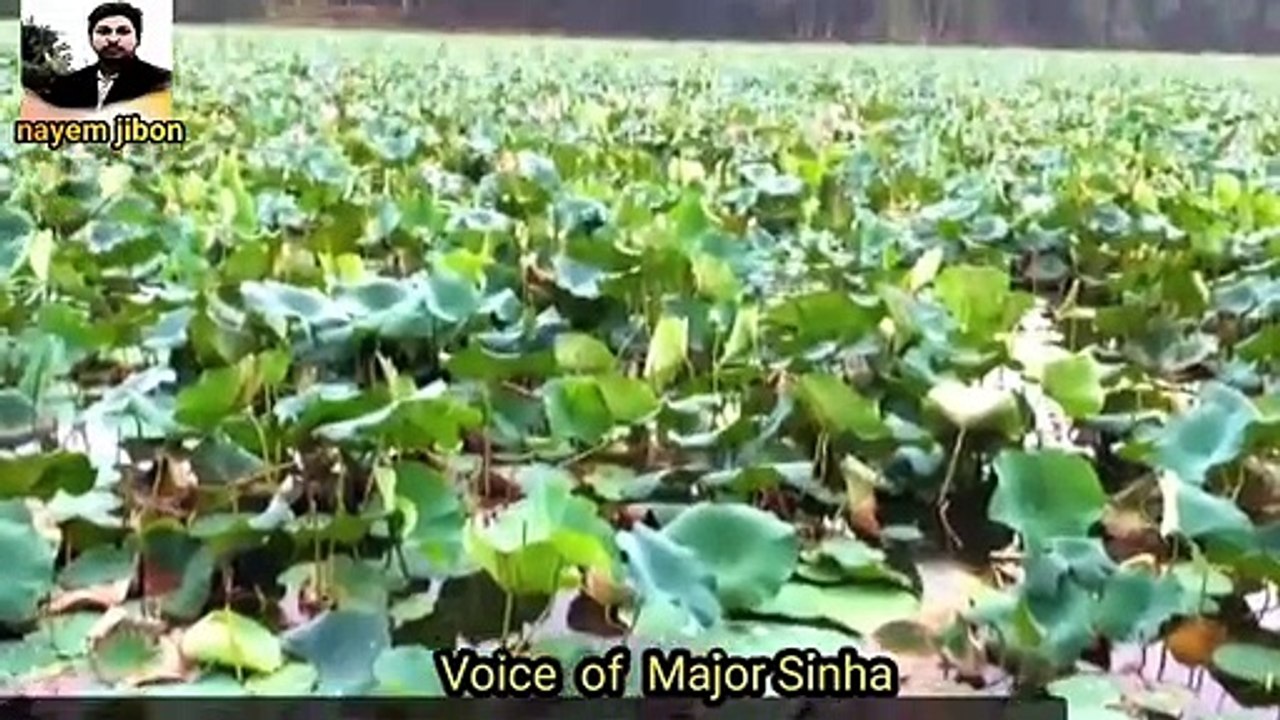 The Last Vlog Made by Major Sinha  মেজর সিনহার বানানো শেষ ভ্রমনচিত্র"nayemjibon"