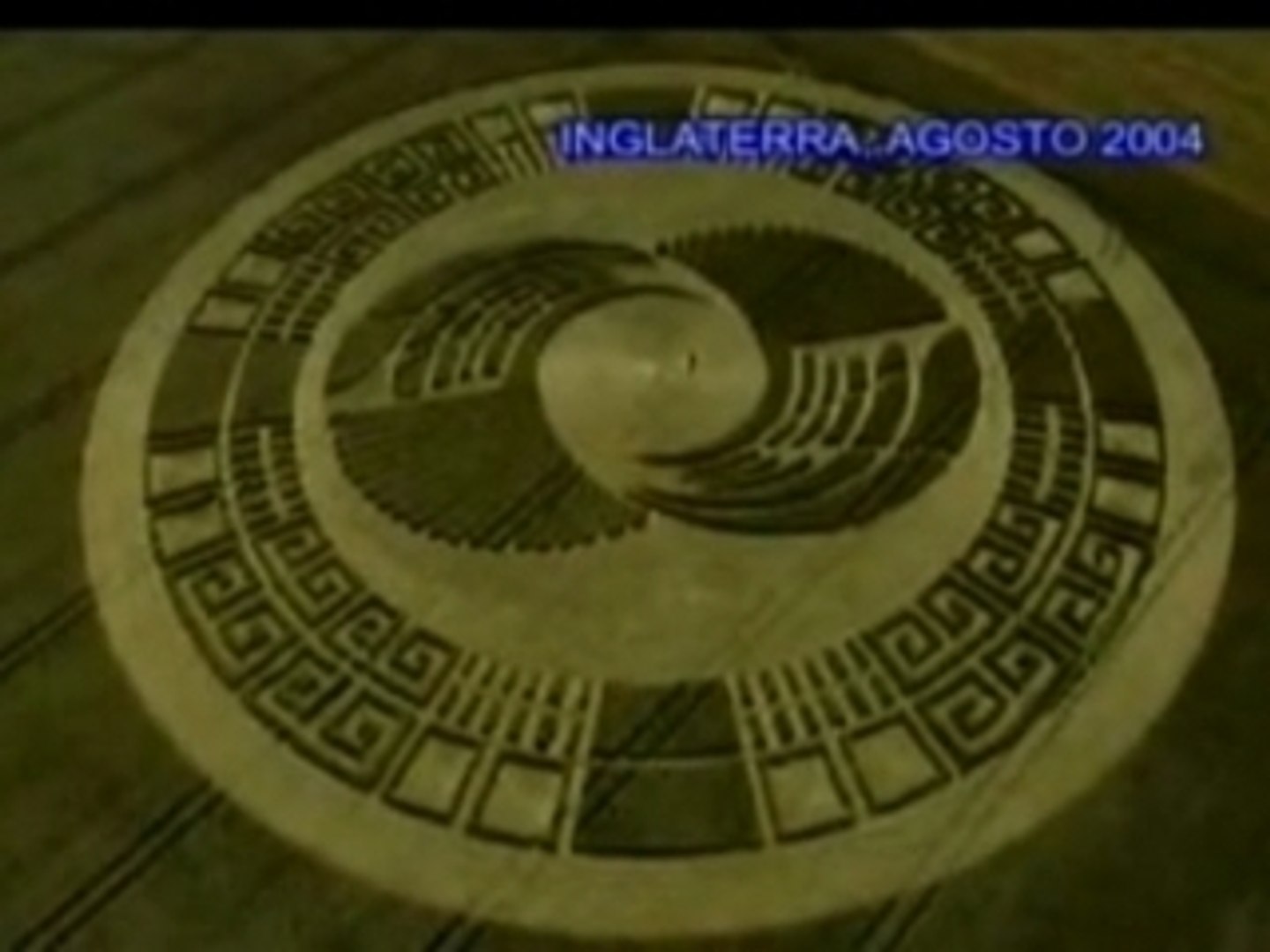 ⁣Crop circle maya