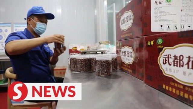 Poverty alleviation spices up life in NW China