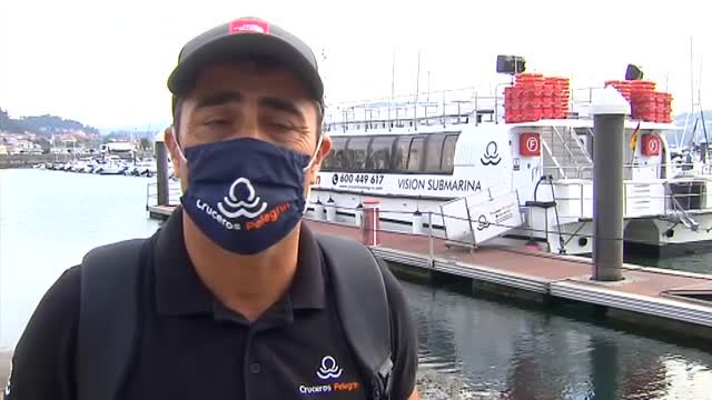 Un delfín trata desesperadamente salvar a su cría