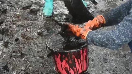 Preocupa el avance del vertido en Isla Mauricio