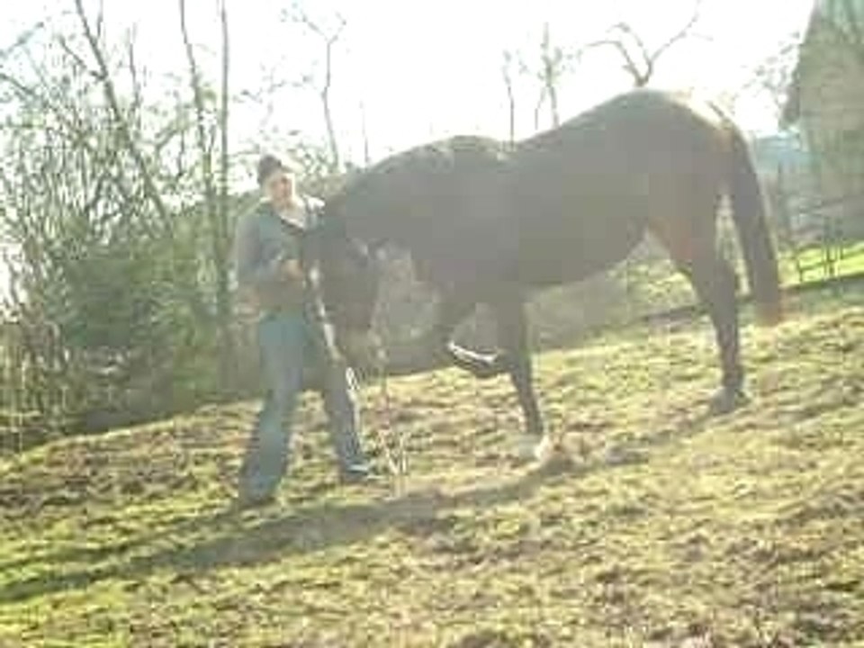 19.02.08 012