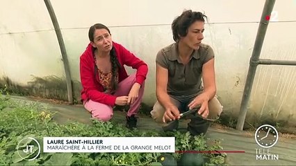 Sécheresse : face à une météo peu clémente, les maraîchers sont contraints de s’adapter
