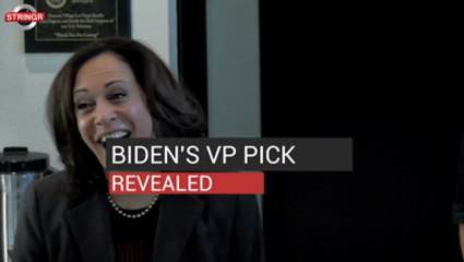 Kamala Harris VP Pick Revealed