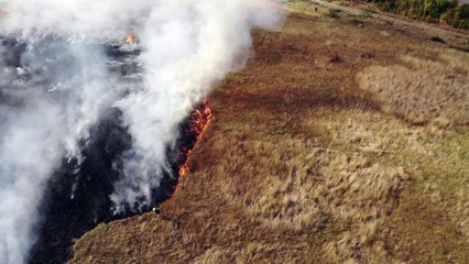 Watch shocking drone footage reveal scorched earth in major blaze near Horsham