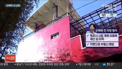 '투기의혹' 손혜원 1심 징역 1년 6개월 선고