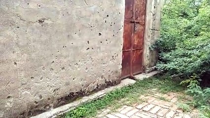 दबंग प्रधान द्वारा पेयजल के पानी से उगाई जा रही है धान की फसल, बूंद बूंद पानी के लिए तरस रहे ग्रामवासी
