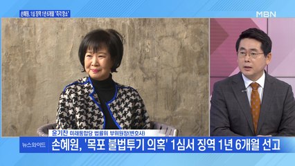 [백운기의 뉴스와이드] '목포 투기 의혹' 손혜원, 1년 6개월 실형 선고…왜?
