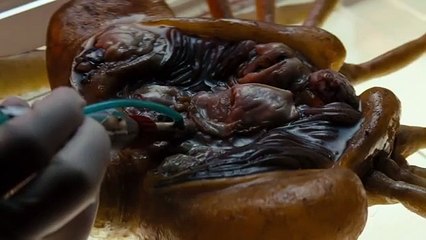 Horror Movies That Are Basically Perfect!