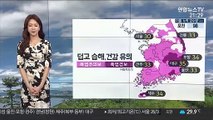 [날씨] 내일도 장맛비 소강…덥고 중부 소나기