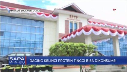 Daging Kelinci Protein Tinggi Bisa Dikonsumsi Warga