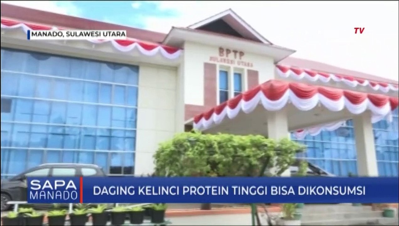 Daging Kelinci Protein Tinggi Bisa Dikonsumsi Warga