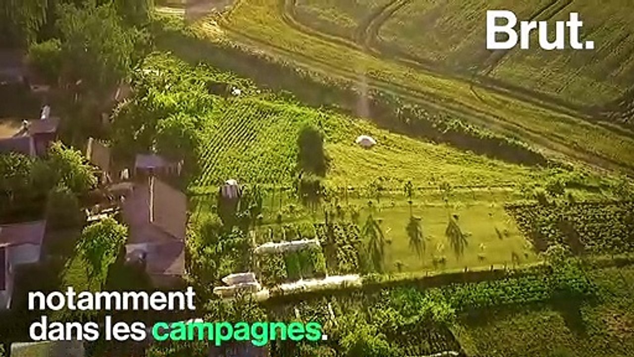 Fraîchement réélu pour la 6e fois en Biélorussie, qui est Alexandre Loukachenko ?