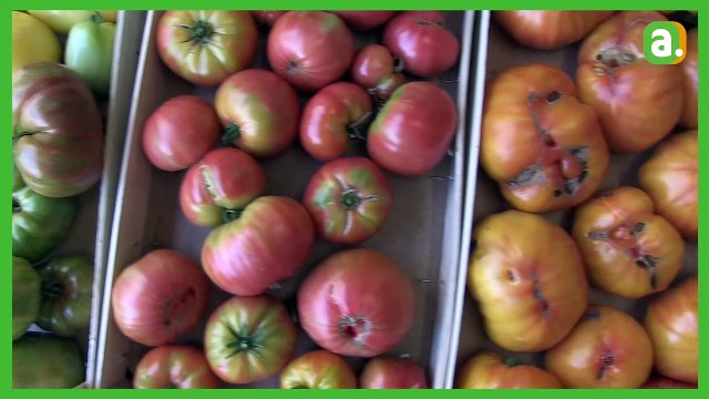 L'Avenir - Année exceptionnelle pour les tomates, mais ...