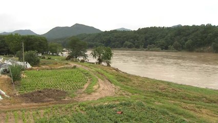 수자원공사 "댐, 홍수기 제한 수위 이하 유지...피해 원인 조사" / YTN