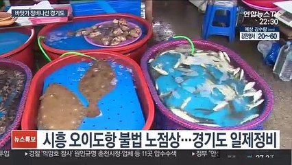 하천·계곡 이어 바다까지…경기도 불법시설 정비