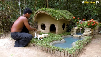Rescue dog by Collect Abandoned Dog and Build Mud Dog House with Mini Water Fall Swimming Pool