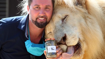 Circus in Germany survives during the Covid-19 pandemic by turning lion poo into ‘gold’