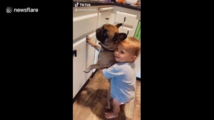 Toddler's adorable bond with his two dogs goes viral on TikTok
