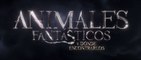 ANIMALES FANTASTICOS Y DONDE ENCONTRARLOS (2016) Trailer - SPANISH