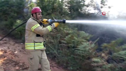 Sultanbeyli Aydos Ormanları'nda yangın çıktı