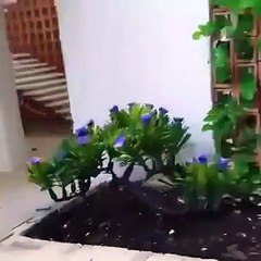 C’est une vraie maison miniature