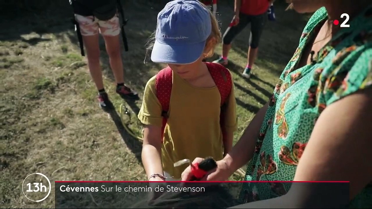 Cévennes : un été à dos d'âne