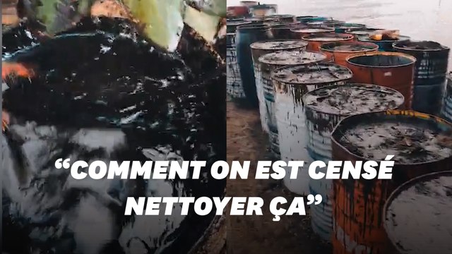 À l'île Maurice, ce kitesurfeur filme les dégâts de la marée noire