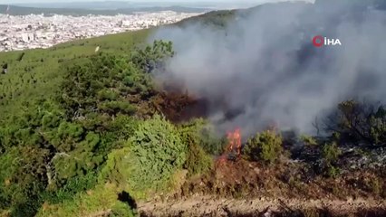 Sancaktepe Aydos Ormanları'nda yangın çıktı