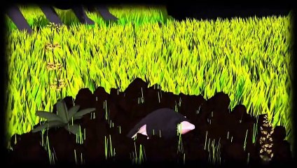 Videografik: Pestizide