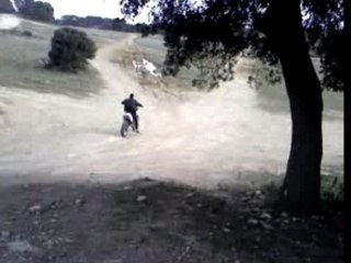 450 yzf