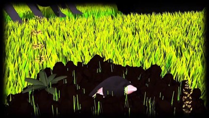 Videografik: Pestizide