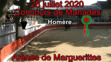 2020 07 28 Homère