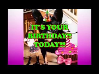 Happy Birthday Alfredo - Alfredo's Birthday Song - Alfredo's Birthday Party