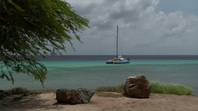 More Than 11,000 International Travelers Have Visited Aruba Less Than a Month After Reopen