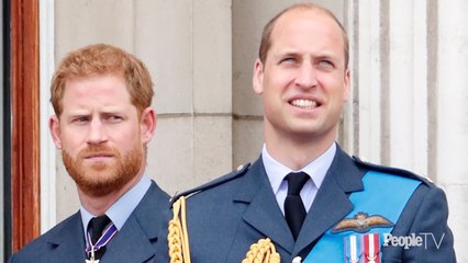 How Things Have Moved Forward with Harry and William Since Royal Rift