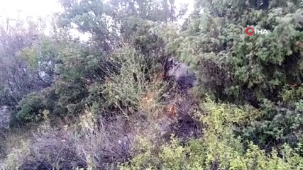 Piknikçilerin uğrak yeri olan Esenpınar Göleti'nin çevresinde yangın çıktı