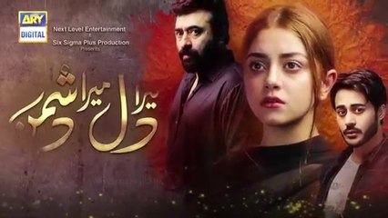 Mera_Dil_Mera_Dushman_Episode_46_-_12th_August_2020_-_ARY_Digital_Drama(360p)